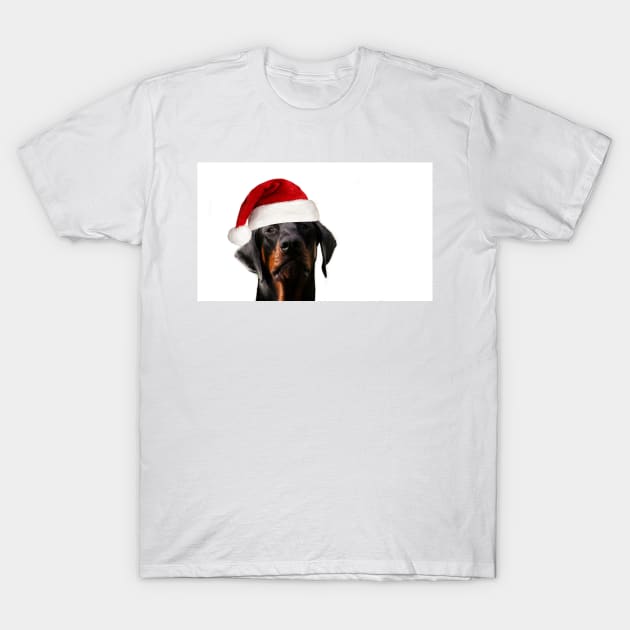 And a Very Merry Christmas from Darcy T-Shirt by Ladymoose